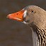 thumbs/IMG_2770.jpg